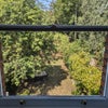 Photo 2: Room window view