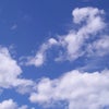 Photograph of Des
