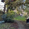 Photo 9: garden when not in a heat wave