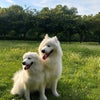 Photo 8: Coco & Vaayu