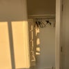 Photo 3: Spare Room Cupboard