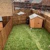 Photo 5: Garden