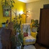 Photo 7: Living room