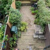 Photo 7: SW facing garden 