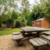 Photo 4: Garden photo 2