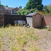 Photo 5: Backyard
