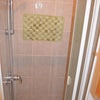Photo 16: Shared Bathroom