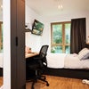 Photo 3: Room layout 
