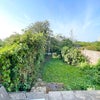 Photo 6: Back Garden