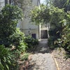 Photo 8: driveway