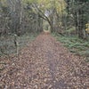 Photo 2: Walk to Mill Lakes