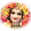 Photograph of Ram 