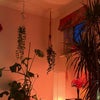 Photo 9: living room photo 3