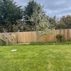 Photo 3: Very large rear garden