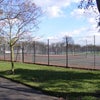 Photo 11: Barking Park Tennis