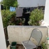 Photo 9: Garden South facing 