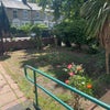 Photo 6: front garden