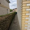 Photo 5: Sidewalk