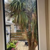Apartment in Edinburgh, Lochend Colonies, Leith - View 5