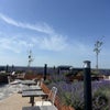 Photo 6: Rooftop garden