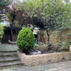 Photo 8: Garden