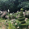 Photo 9: Beaumont Park in bloom!