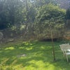 Photo 4: Garden