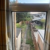 Photo 6: Garden 