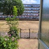 Photo 5: Front garden and shared space