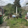 Photo 9: garden