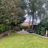 Photo 8: Garden
