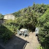 Photo 2: Garden