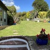 Photo 2: back garden 