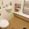 Photo 4: Bathroom