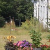 Photo 3: communal garden