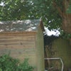Photo 4: bike shed