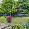 Photo 2: Garden 