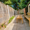 Photo 17: Beautiful communal garden for relaxing!