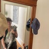 Photo 5: No cats were harmed I promise!
