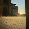 Photo 5: View outside
