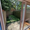 Photo 5: Garden