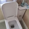 Photo 7: New toilet