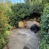 Photo 7: Garden