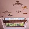 Photo 6: Hand-painted birds on the ceiling