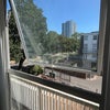 Photo 7: Room view
