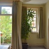 Photo 5: Shared Dining Room