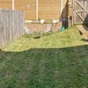 Photo 9: Garden 