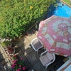 Photo 9: Garden 