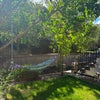 Photo 8: Private Garden