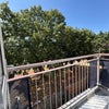 Photo 3: Balcony